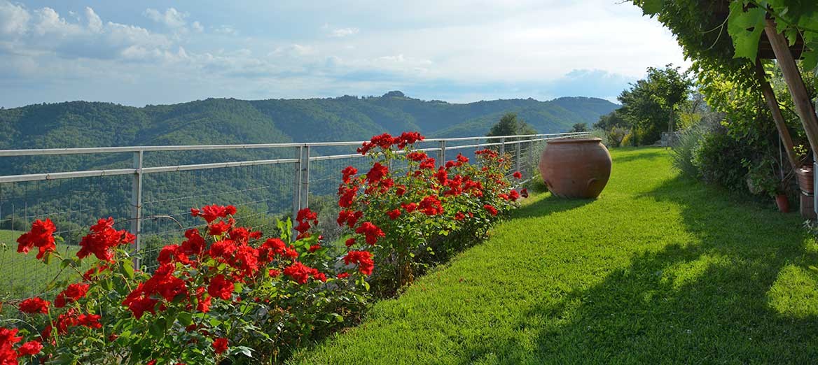 CRO550 CASTELNUOVO BERARDENGA