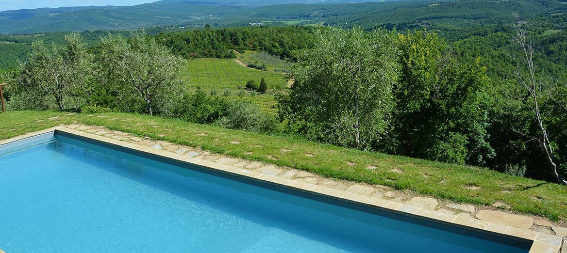 CRO550 CASTELNUOVO BERARDENGA
