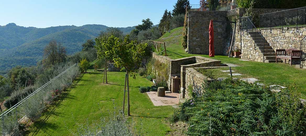 CRO550 CASTELNUOVO BERARDENGA