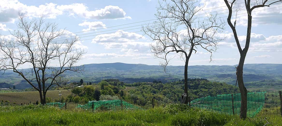 A2 BARBERINO VAL D'ELSA