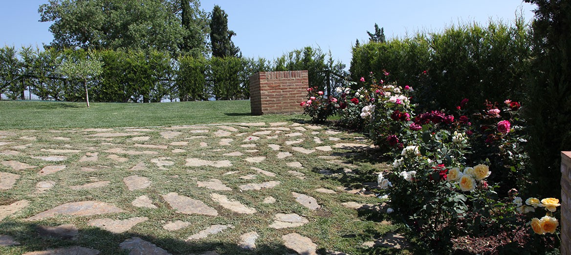 P1 CASTELNUOVO BERARDENGA