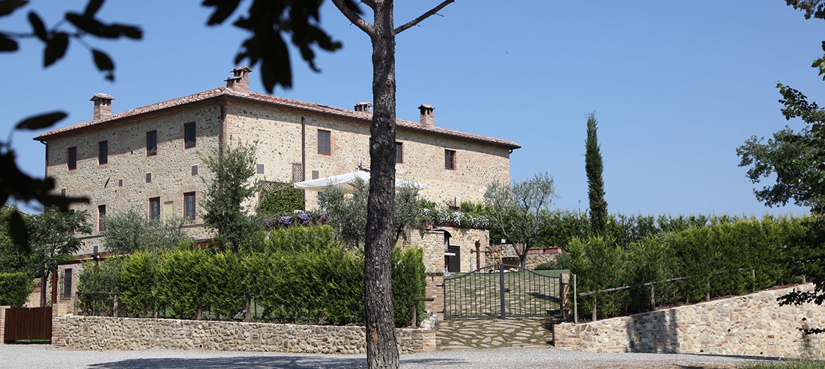 P1 CASTELNUOVO BERARDENGA