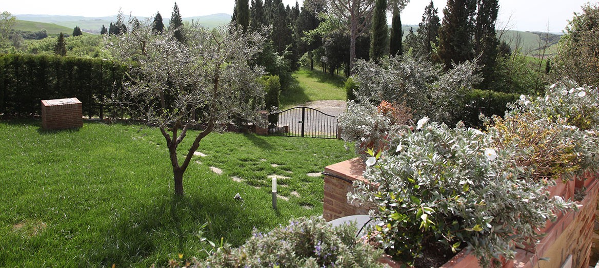 P1 CASTELNUOVO BERARDENGA