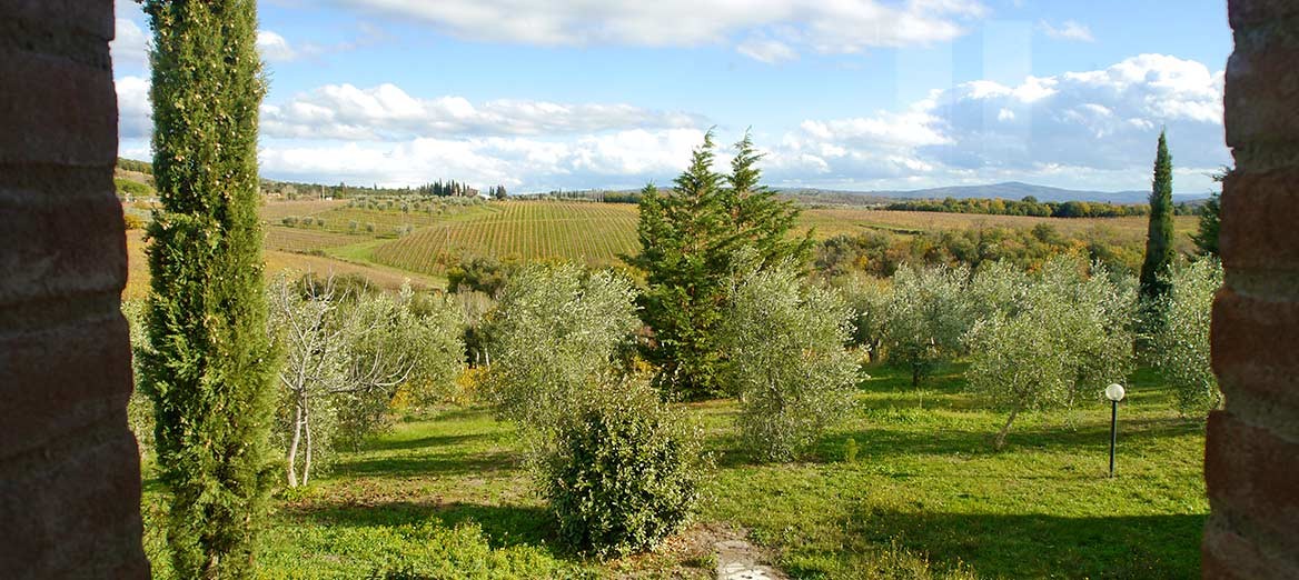 CA62 CASTELNUOVO BERARDENGA